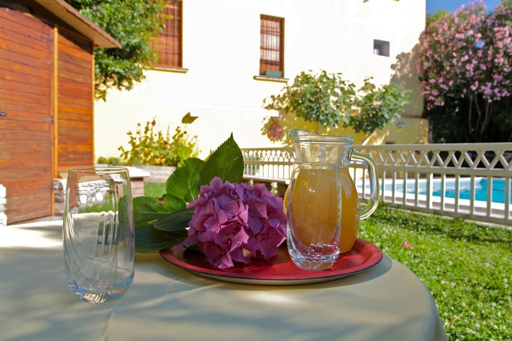 Hotel San Filis San Felice del Benaco Exteriér fotografie